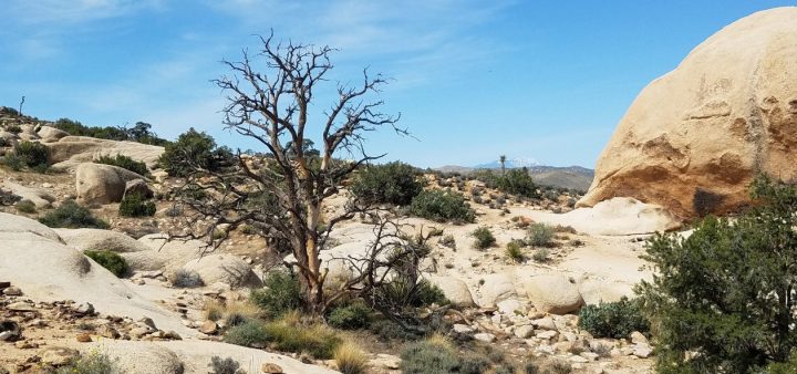 1-800-273-TALK(8255)