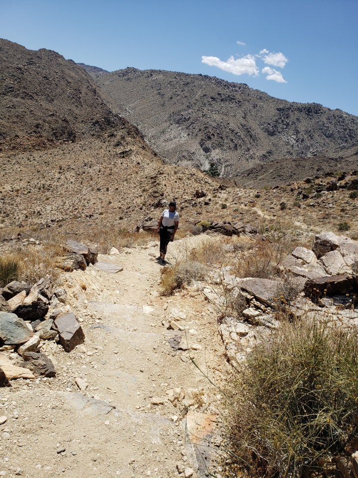 What I learned about resilience from hiking in the&nbsp;desert