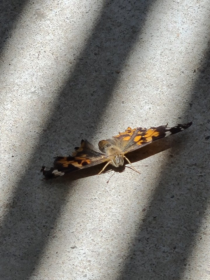 Finally! It’s time!