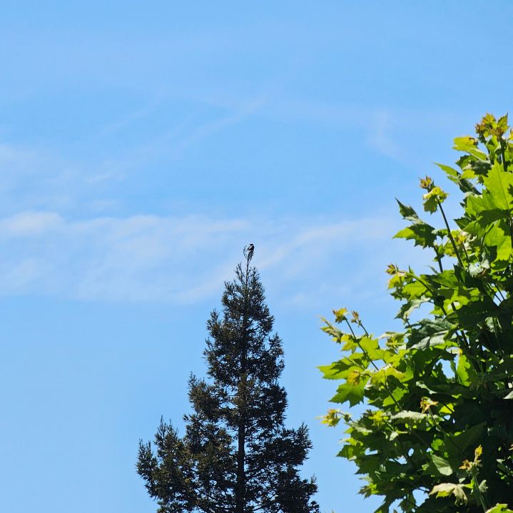 Still Walking This Path: Five Years Into My Wellness&nbsp;Journey